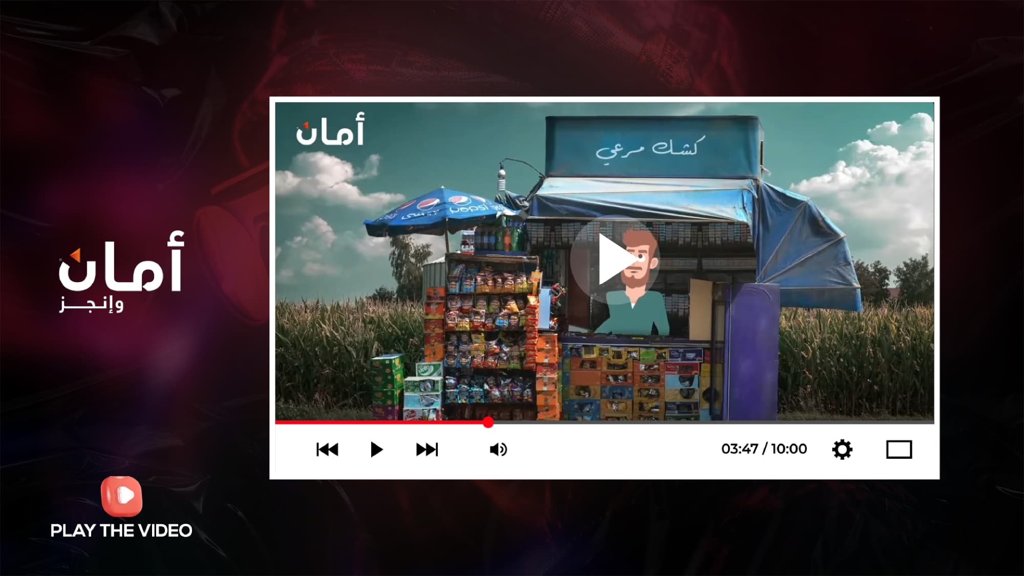 Aman Micro Finance